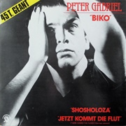 Biko .. Peter Gabriel
