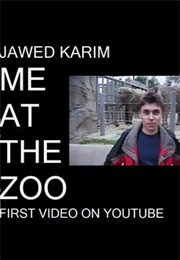 Me at the Zoo (2005)