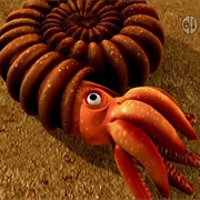 Ammonite