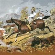 The Stockman or Jackaroo