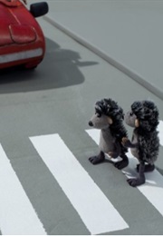 Hedgehogs and the City (2012)