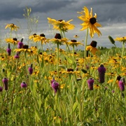 Rydell National Wildlife Refuge