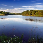 Mt. Pisgah State Park, Pennsylvania