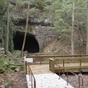 Sauta Cave National Wildlife Refuge