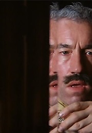 El Passatger Clandesti (1995)