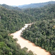 Borneo