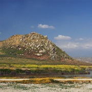 San Jacinto Wildlife Area