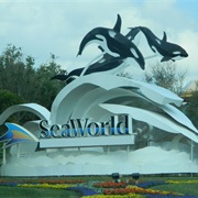 Seaworld Orlando - Orlando, FL