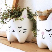 Creative and Cute Flowerpots