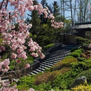 The Japanese Garden