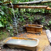 Wotten Waven, Dominica