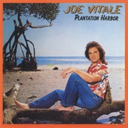 Joe Vitale - Lady on the Rock