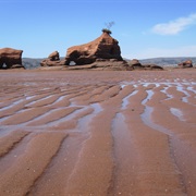 Minas Basin