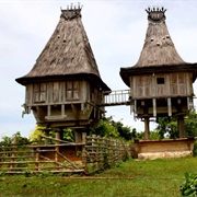 Fataluku Houses - East Timor