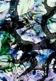 The Dante Quartet (Stan Brakhage, 1987)