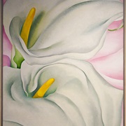 O'Keeffe: Two Calla Lilys on Pink
