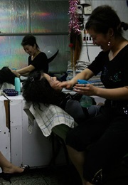 Wheat Harvest (2008)