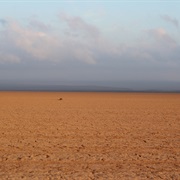 Bara Desert