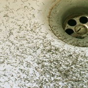 Not Cleaning Up Stubble