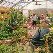 Island Butterfly House & Insect World, Mackinac Island