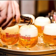 Go on a Beer Tasting Tour in Brussels