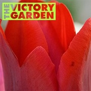 The Victory Garden