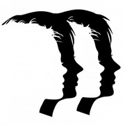 A Book Told From Multiple Povs