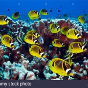 Otugi Pass, French Polynesia