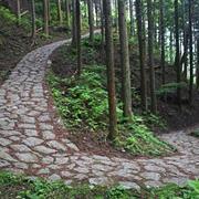 The Nakasendo