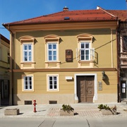 Hugo Wolf's Birthplace Museum – Slovenia