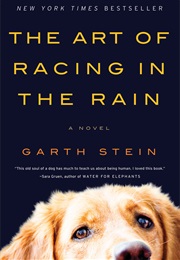 The Art of Racing in the Rain (Garth Stein)
