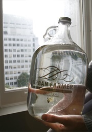 The Glass Jar (R.E.W. Elliott)