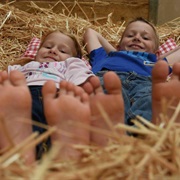 One Night in the Straw