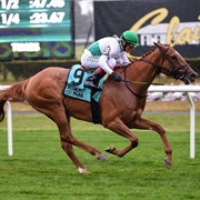 American Thoroughbred