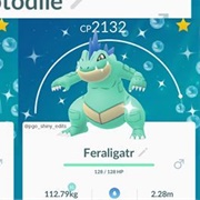 Shiny Feraligatr