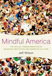 Mindful America (Jeff Wilson)