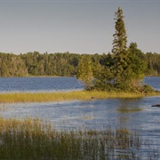 Birch Lakes State Forest, Minnesota
