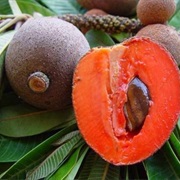Mamey Sapote