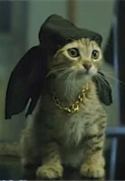 Kitten, Keanu (2016)