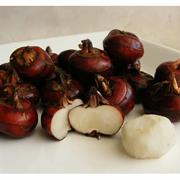 Water Chestnut