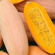 Banana Squash
