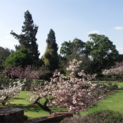 Johanesburg Botanical Garden