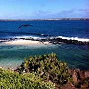Genovesa Island, Galapagos