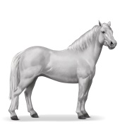 Quarter Pony - Light Gray