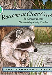 Raccoon at Clear Creek Road (Carolyn Otto)