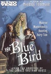 The Blue Bird