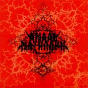 Anaal Nathrakh - Eschaton