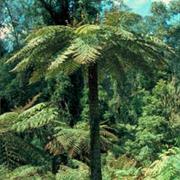 Maryland National Park (NSW)