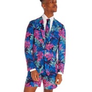 Summer Suit