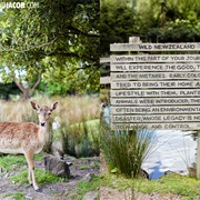 Willowbank Wildlife  Reserve
